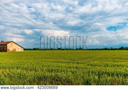 At The Foot Of The Monviso, Along The Banks Of The Po River, Agriculture Is The Main Source Of Incom
