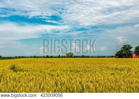 At The Foot Of The Monviso, Along The Banks Of The Po River, Agriculture Is The Main Source Of Incom