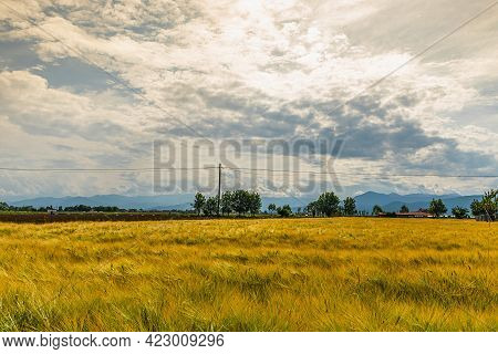 At The Foot Of The Monviso, Along The Banks Of The Po River, Agriculture Is The Main Source Of Incom