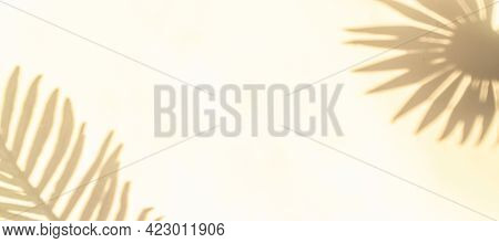 Shadows Nature Summer Background. Plant Leaf Shadow On White Wall In Abstract Tropical Sunlight Text