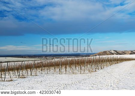Winter landscape near Popice, Southern Moravia, Czech Republic