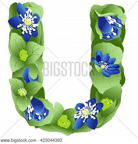 Vector Image Of The Letter U Of The English Alphabet Made In The Form Of Flowers And Leaves Of Liver