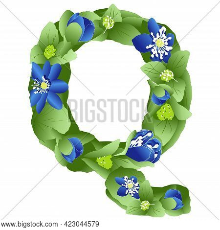 Vector Image Of The Letter Q Of The English Alphabet Made In The Form Of Flowers And Leaves Of Liver