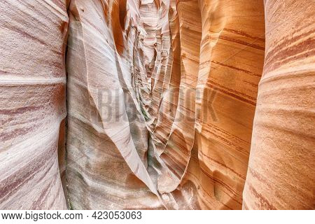 Zebra Canyon is a vivid striped and very narrow gorge. The awsome zig-zag shapes were created by water. Grand Staircase-Escalante National Monument, Utah. USA
