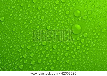 Water Drops On Green Background