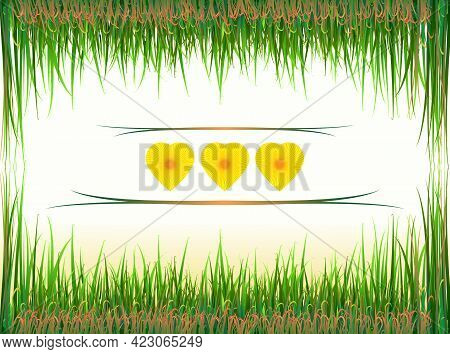 Grass Frame. Green And Light Brown Grass On A Gentle Background. Three Flower Hearts In The Center.