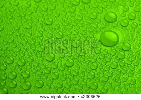 Water Drops On Green Background