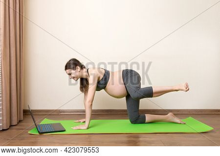 Young Happy Healthy Yoga Fitness Beautiful Pregnant Woman Doing Bakasana Yoga Workout On Yoga Mat Op