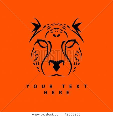 Cheetah kasvot