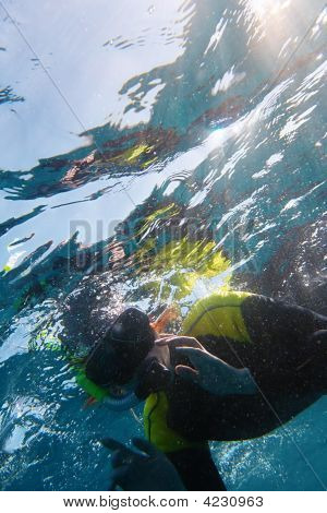 Snorkler