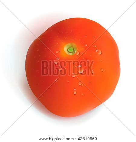 Vermelho tomate isolado no fundo branco