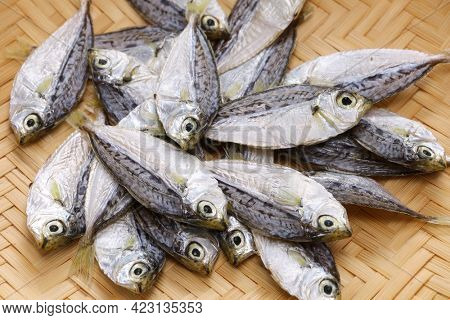 Hiiragi no himono, dried spotnape ponyfish, Japanese delicacy food
