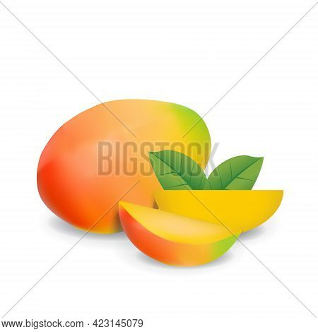 Mango Healthy Organic Fresh Fruit Summer Isolated Vector Illustration