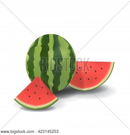 Watermelon Healthy Organic Fresh Fruit Summer Isolated Vector Illustration