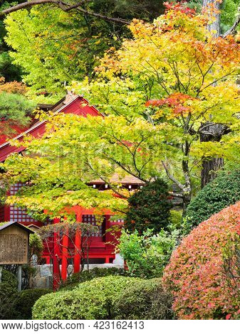 Kiso, Nagano Prefecture, Japan - October 23, 2017: Autumn On The Grounds Of Kozenji Temple
