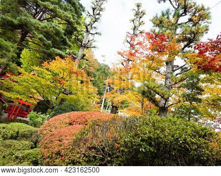 Kiso, Nagano Prefecture, Japan - October 23, 2017: Autumn On The Grounds Of Kozenji Temple