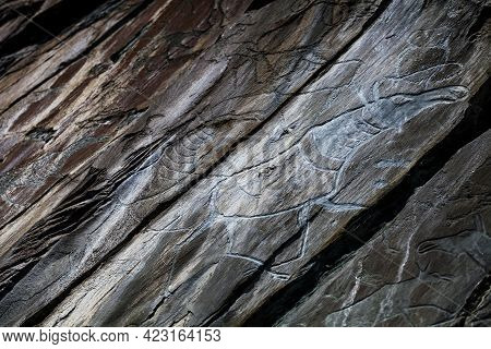 Petroglyph Tomsk Pisanitsa. Rock Paintings From Bank Of Tom River, Russia