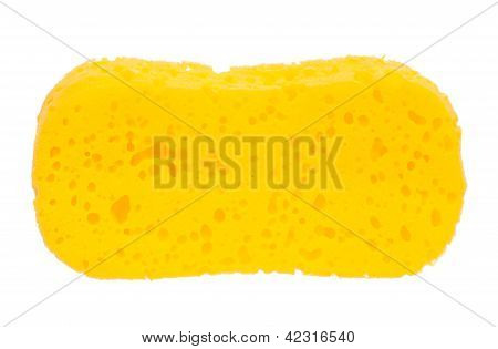 Gąbka do kąpieli