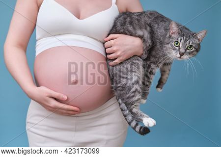 Pregnant Woman With A Pet Cat In Her Hands, Blue Background
