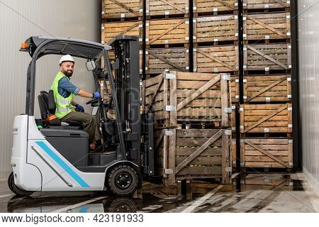 Employee On Electric Forklift Carry Container With Ripe Apples At Storage