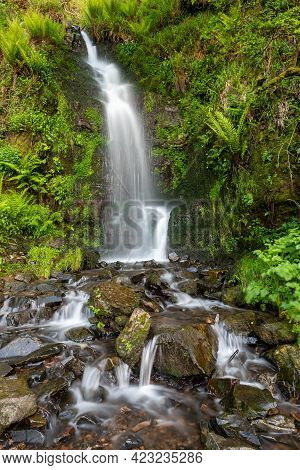 Hollowbrook Waterfall