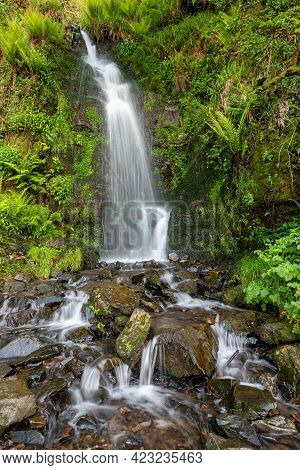 Hollowbrook Waterfall
