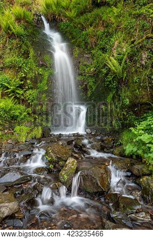 Hollowbrook Waterfall