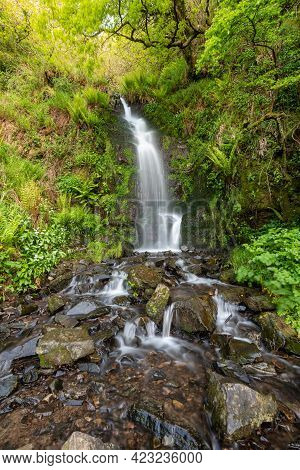 Hollowbrook Waterfall