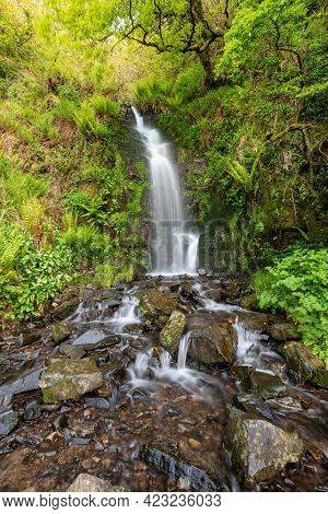 Hollowbrook Waterfall