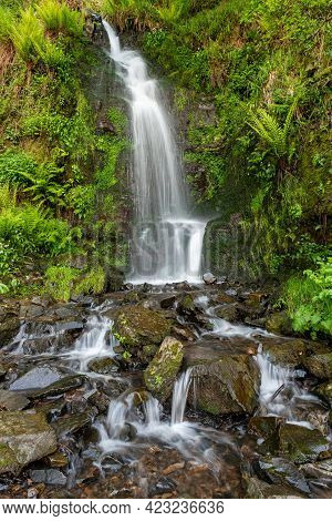 Hollowbrook Waterfall