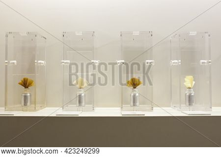Museum Display Set Of Methacrylate Boxes With Several Fragances. Specialized Equipment For Scents Ex