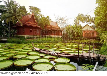 Asian Girl Is Lying Down On The New Vintage Wood Boat On The Lily Lotus Leaf Pond At Outdoor Field.