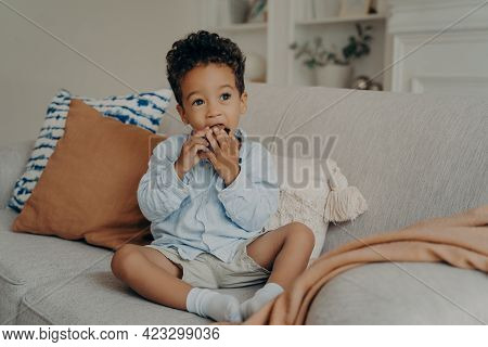 Hungry Cute African American Boy Toddler Eating Delicious Chocolate Cupcake That Mother Brought From