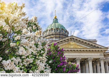 Kazan (kazansky) Cathedral And Blooming Lilac, Saint Petersburg, Russia
