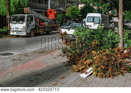 Alanya, Turkey - October 23, 2020: A Pile Of Cut Branches With Dry Leaves On The Background Of An Au