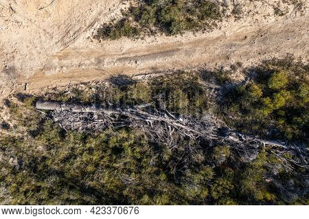 Drone Aerial Photograph Of A Dead Tree Lying On The Ground Near A Dirt Track After A Bushfire In A F