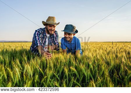 Father And Son Are Standing In Their Growing Wheat Field. Father Is Teaching His Successor About Agr