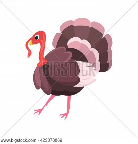 Turkey Flat Icon. Colored Vector Element From Birds Collection. Creative Turkey Icon For Web Design,