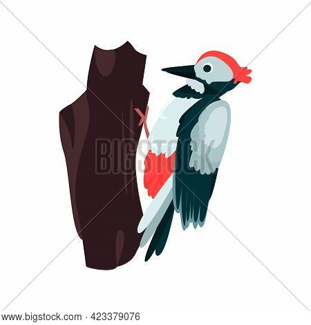 Woodpecker Flat Icon. Colored Vector Element From Birds Collection. Creative Woodpecker Icon For Web
