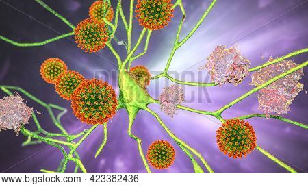 Covid-19 And Dementia. Neuropsychiatric Sequelae Of Covid-19. 3d Illustration. Coronaviruses Damagin