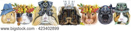 Large Guinea Pigs Border Set, Pet Portraits