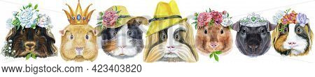 Large Guinea Pigs Border Set, Pet Portraits