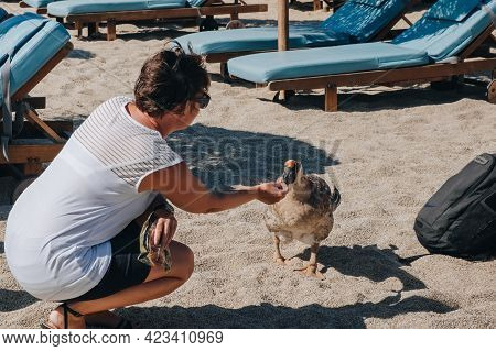 Kalafati, Greece - September 24, 2019: Woman Feeding Diana The Goose, A Mascot Of Kalafati Beach, A 