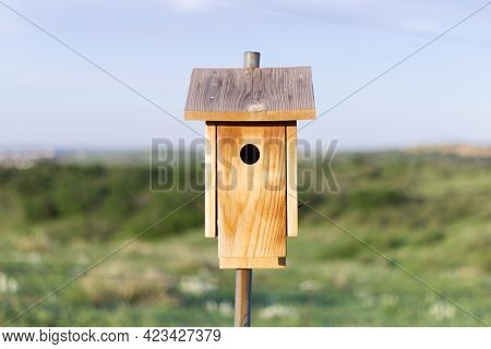 Bird House On Pole Against Background Of Blue Sky And Green Grass Medow. Wooden Birdhouse Photo. Out