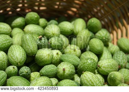 Miniature Mexican Watermelons - Melothria Scabra At Farmers Market