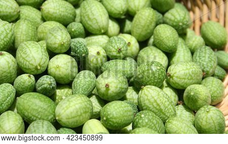 Miniature Mexican Watermelons - Melothria Scabra At Farmers Market