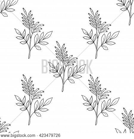 Bitter Wood, Seamless B-w Dd Ww Herb