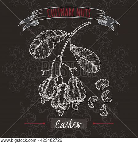 Anacardium Occidentale Aka Cashew Branch And Nuts Sketch On Black Background. Culinary Nuts Series.