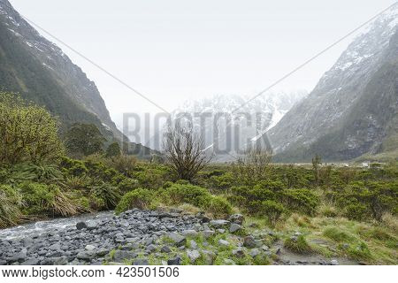 Natural Scenery Around Around Te Anau At The South Island Of New Zealand