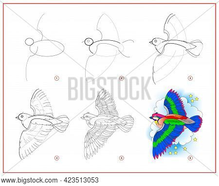 How To Draw Cute Flying Bird. Educational Page For Children. Creation Step By Step Animal Illustrati